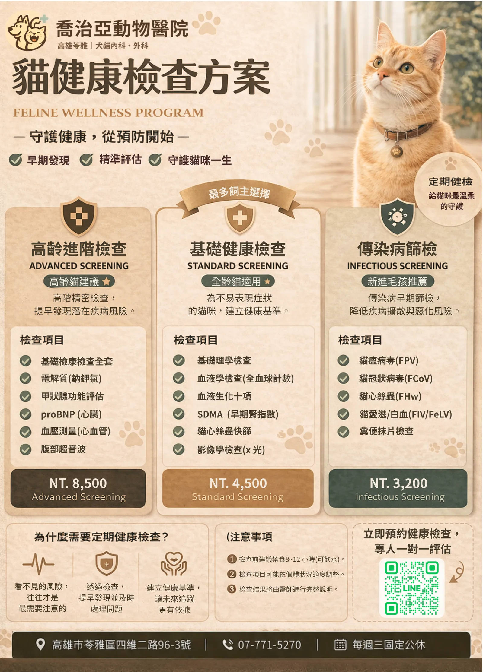 貓健檢宣傳海報,右側橘貓戴項圈抬頭;左上寫「喬治亞動物醫院」「貓健康檢查方案」,列基礎/高齡/傳染病篩檢、NT$價格與QR碼。