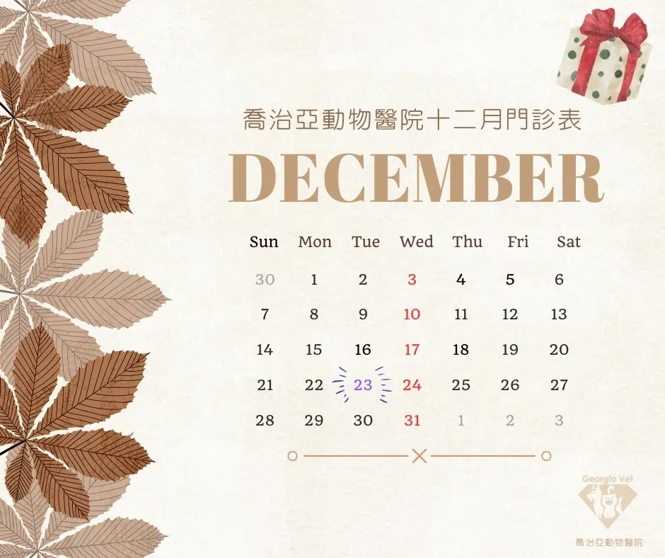 【公告】12 月門診表:原公告圖片