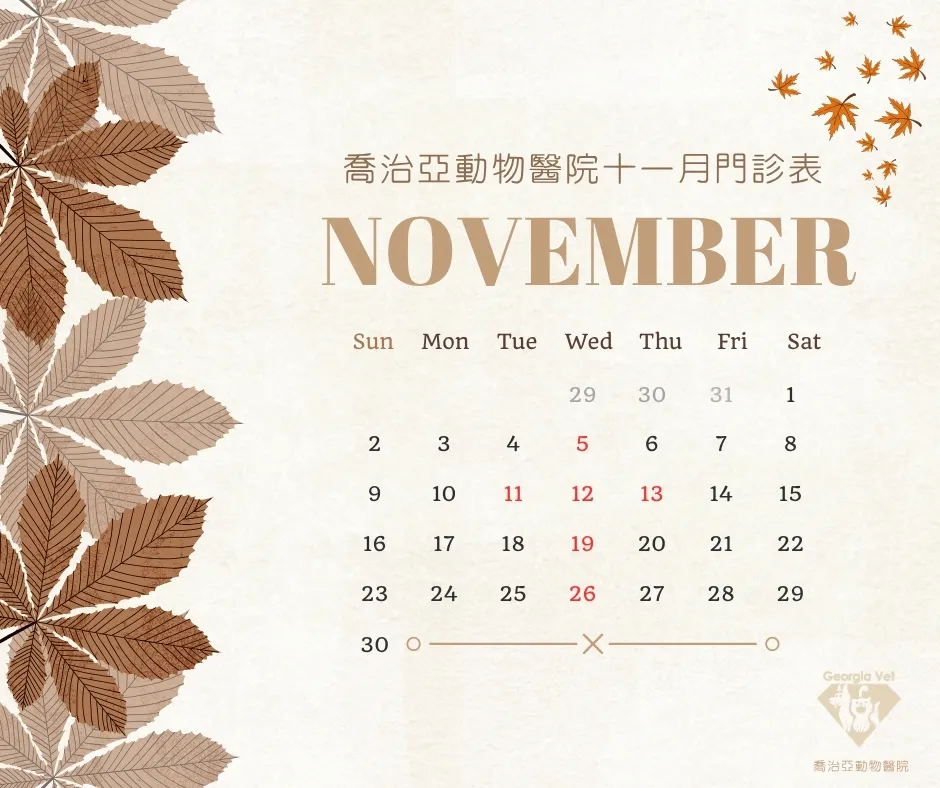 【公告】11 月份門診表:原公告圖片