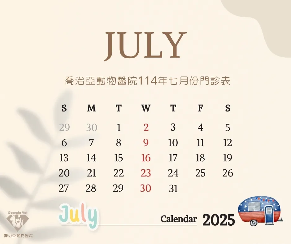 【公告】七月份門診表:原公告圖片