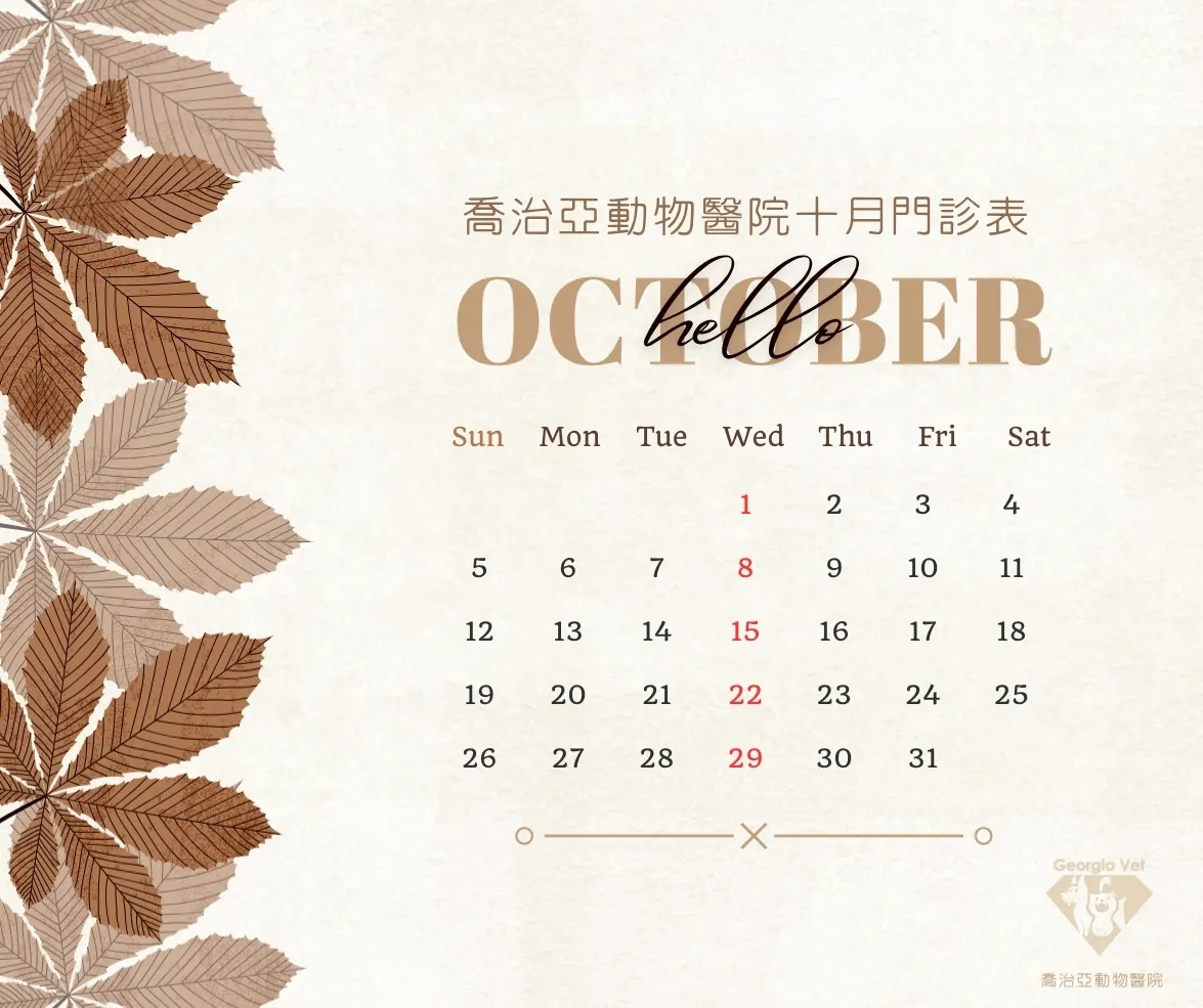 【公告】十月份門診表:原公告圖片