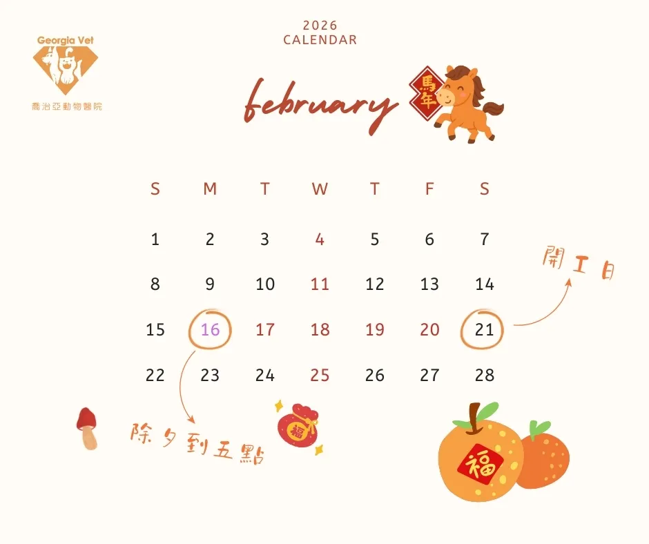 【公告】二月份門診表:原公告圖片