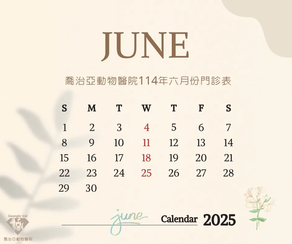 【公告】六月門診表:原公告圖片