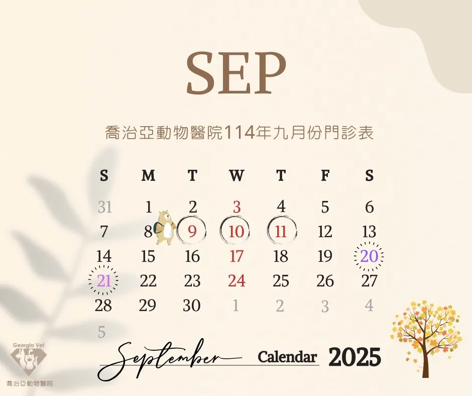 【公告】九月份門診表:原公告圖片